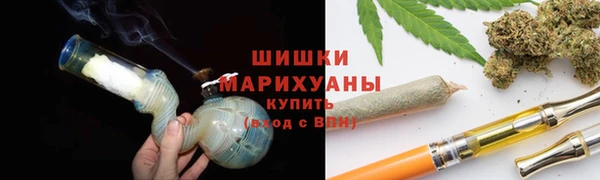 apvp Арсеньев