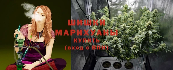 apvp Арсеньев