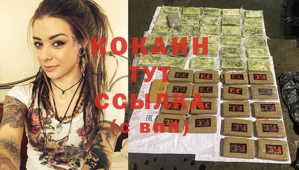 мескалин Каменка